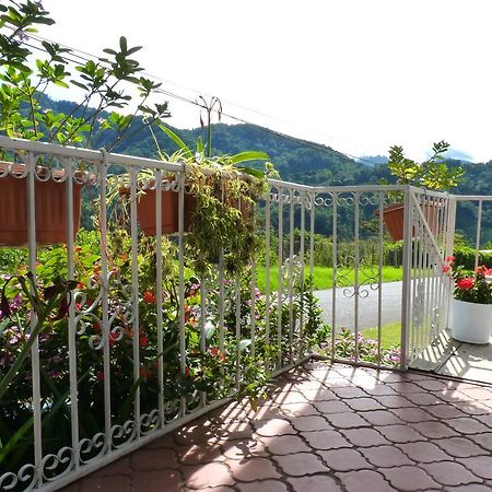 Autana Bed & Breakfast Boquete Buitenkant foto