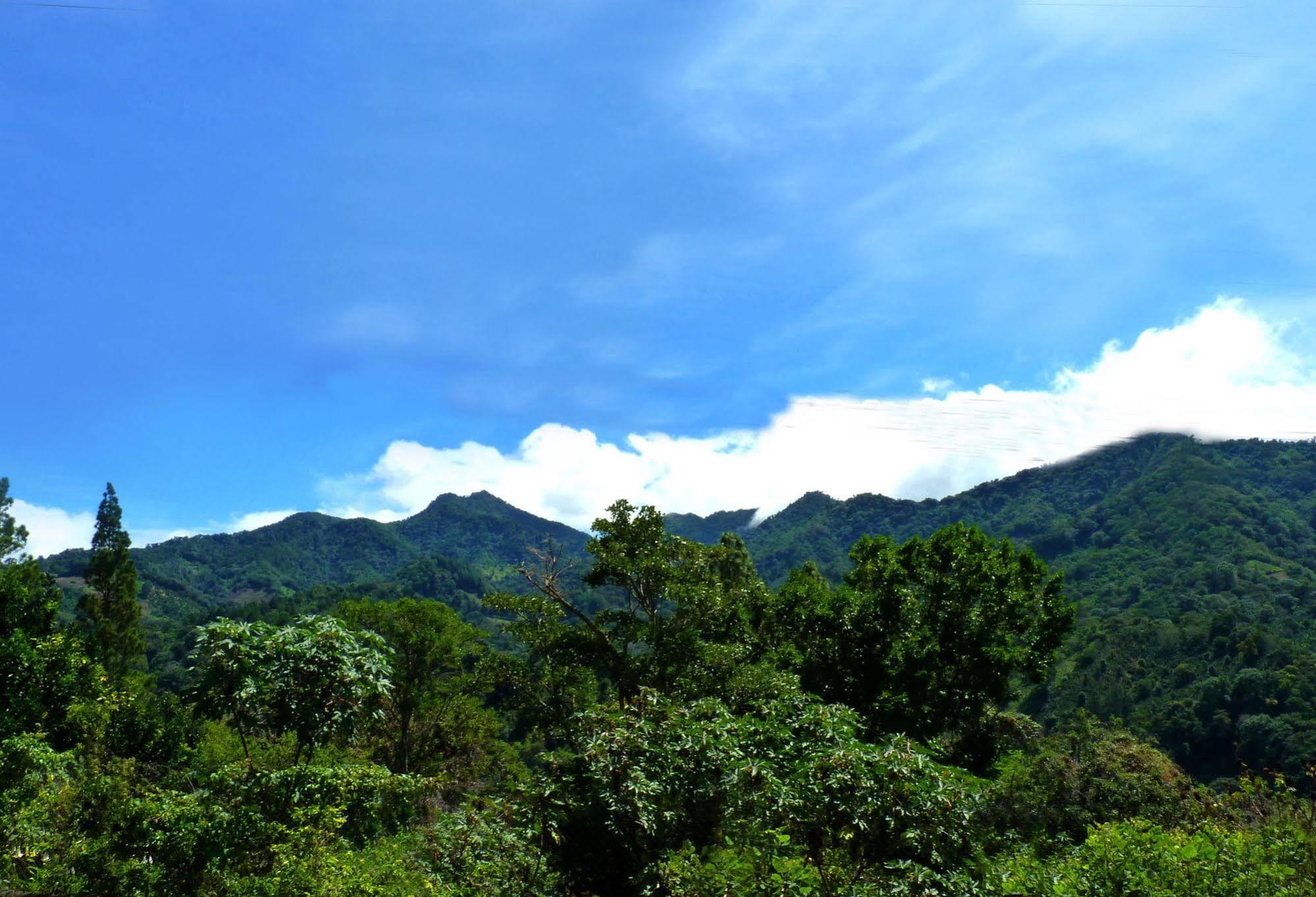 Autana Bed & Breakfast Boquete Buitenkant foto