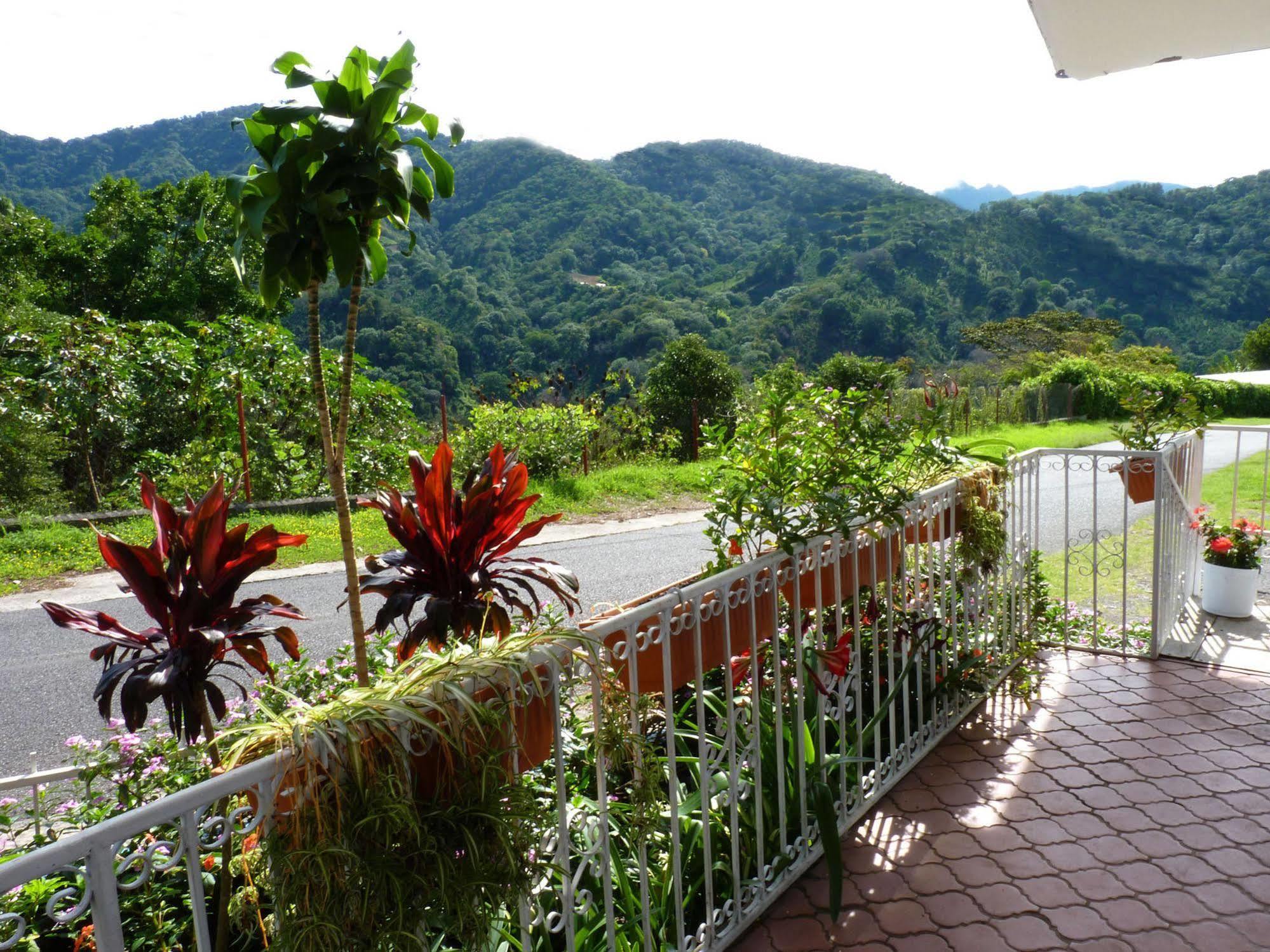 Autana Bed & Breakfast Boquete Buitenkant foto