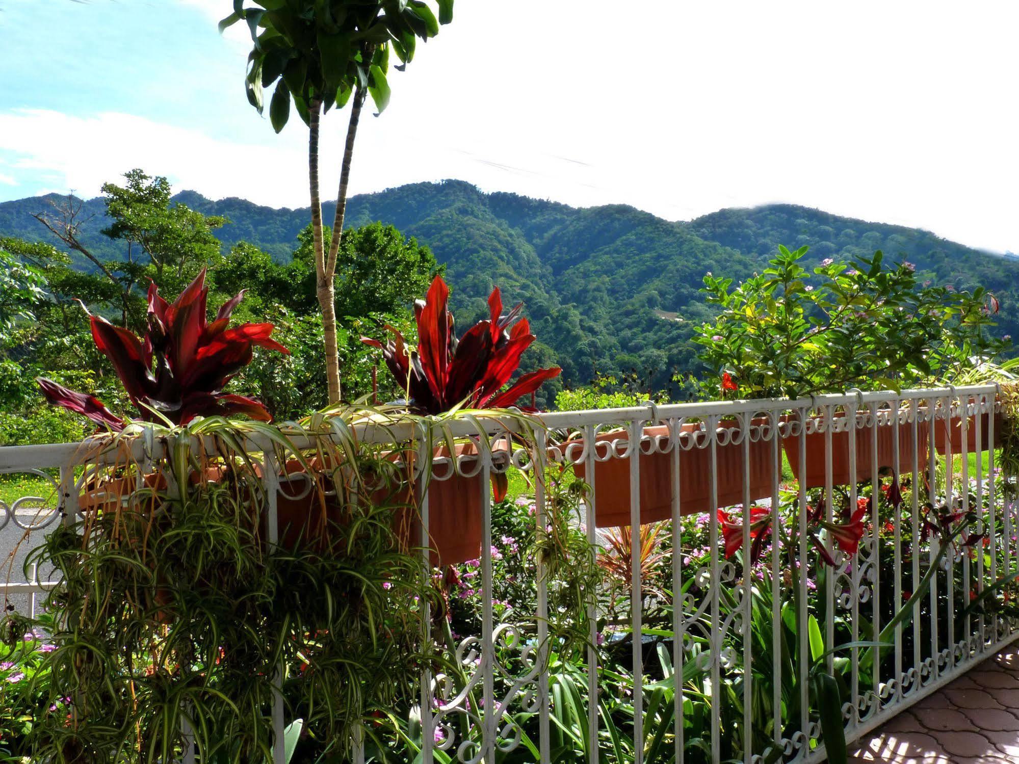 Autana Bed & Breakfast Boquete Buitenkant foto